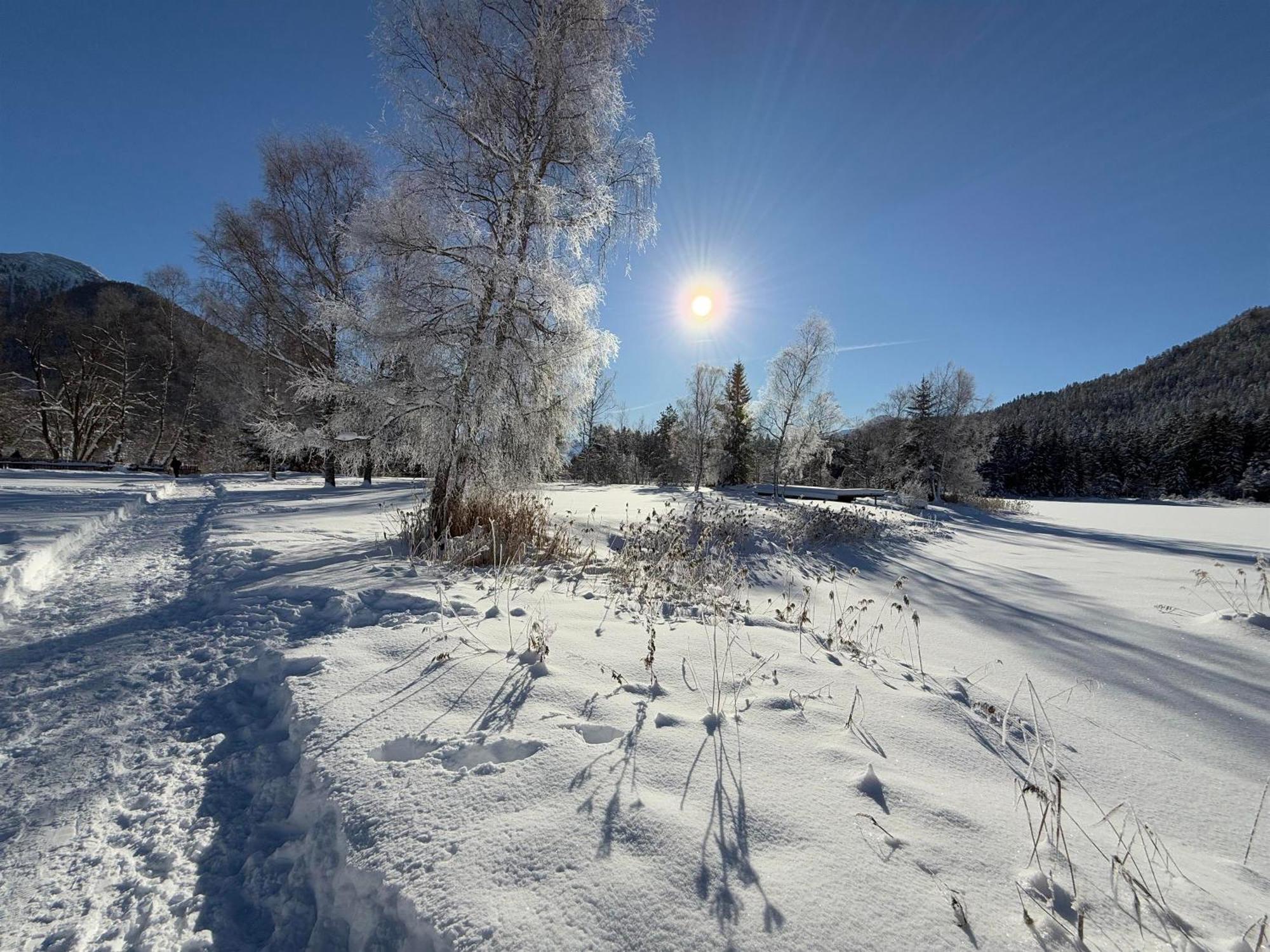 Bio Ferienwohnung Am Wildsee In Seefeld Mit E-Ladestation Зеефелд в Тирол Екстериор снимка